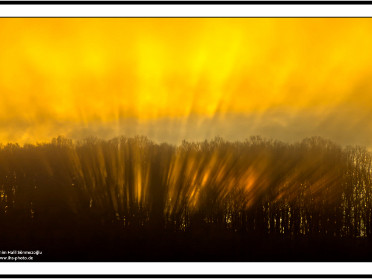 Sunbeams